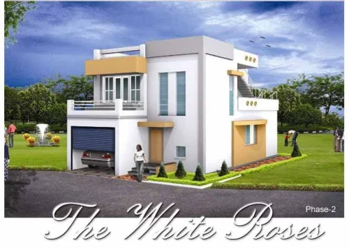 White-Roses-Phase-II